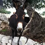 בית חווה Al Casale *