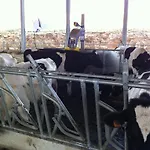 בית חווה Al Casale דונאפוגאטה